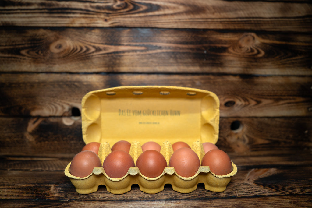 10 frische Freilandeier